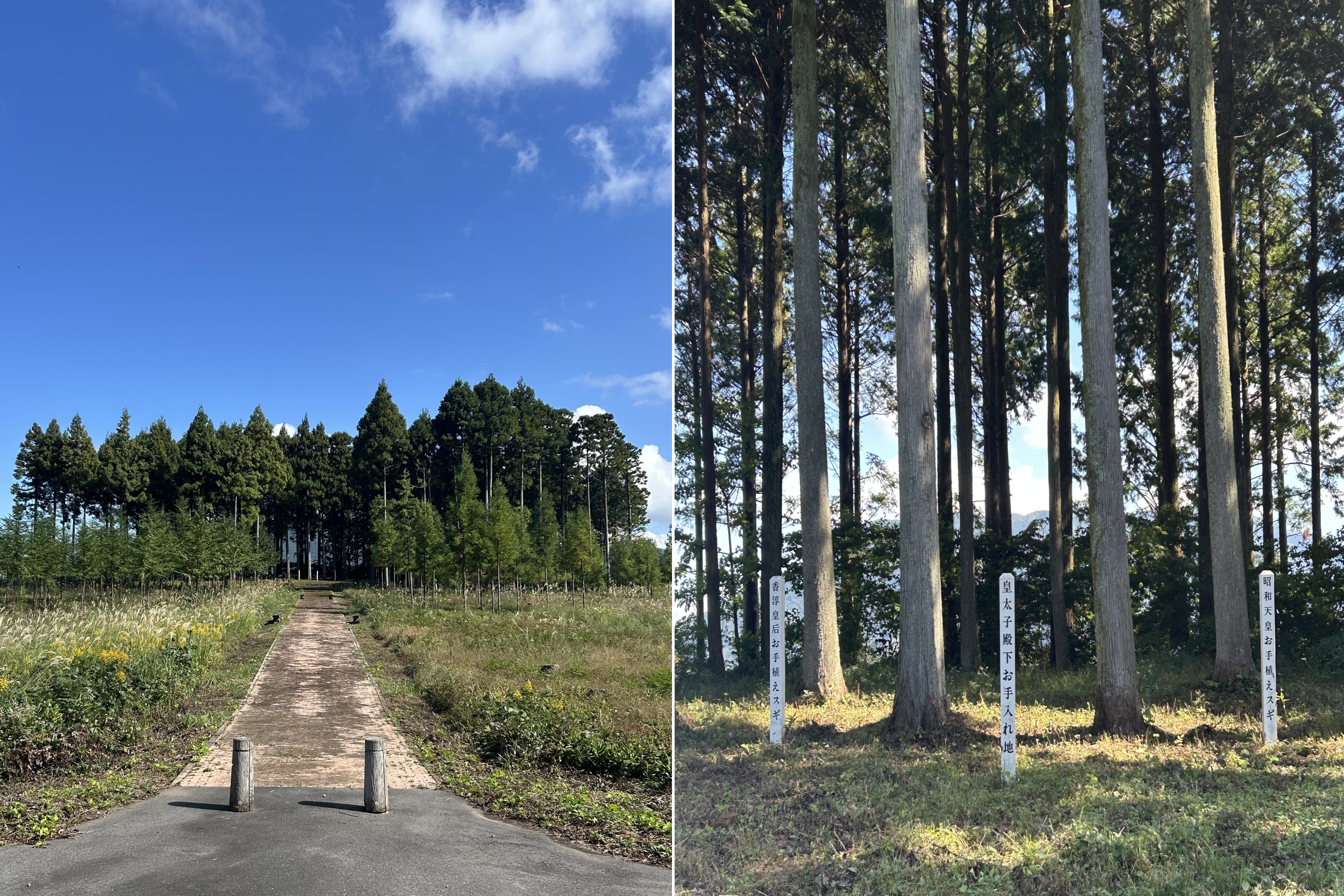【10/23】🍊林業就業支援講習相談会（1日コース）🌳に参加しました