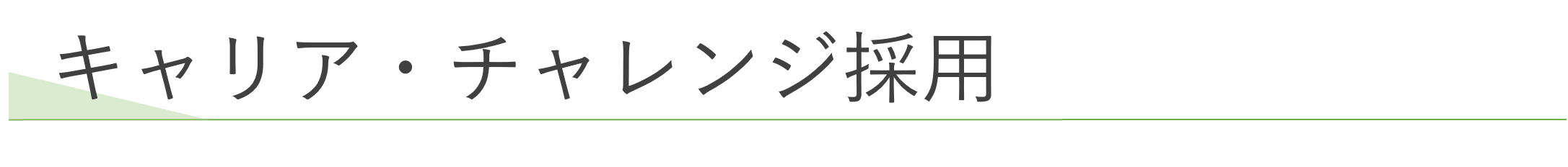 キャリア・チャレンジ採用