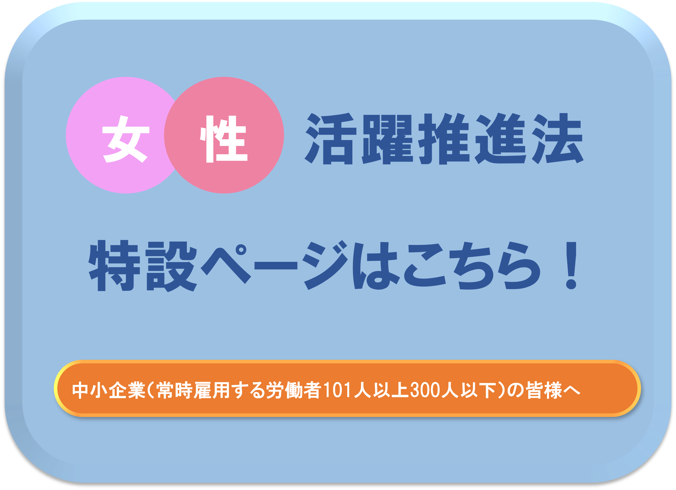 女性活躍推進法