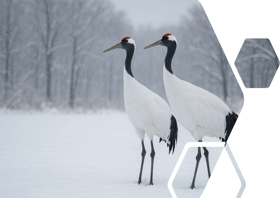 お知らせバナーの画像