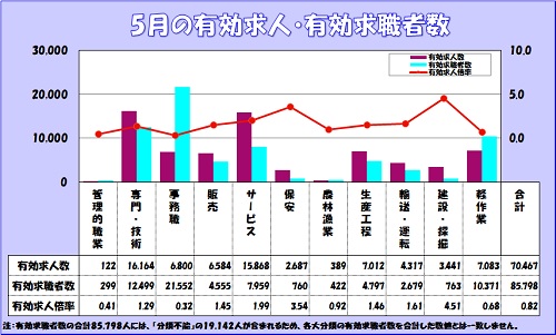 5月求人状況グラフ