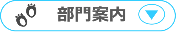 部門案内