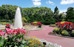 「現場の“リアル”を楽しく学べる！植物園の “裏側”を覗いてみよう！」を開催しました！ （参加対象：小学生）