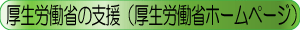 厚生労働省の支援