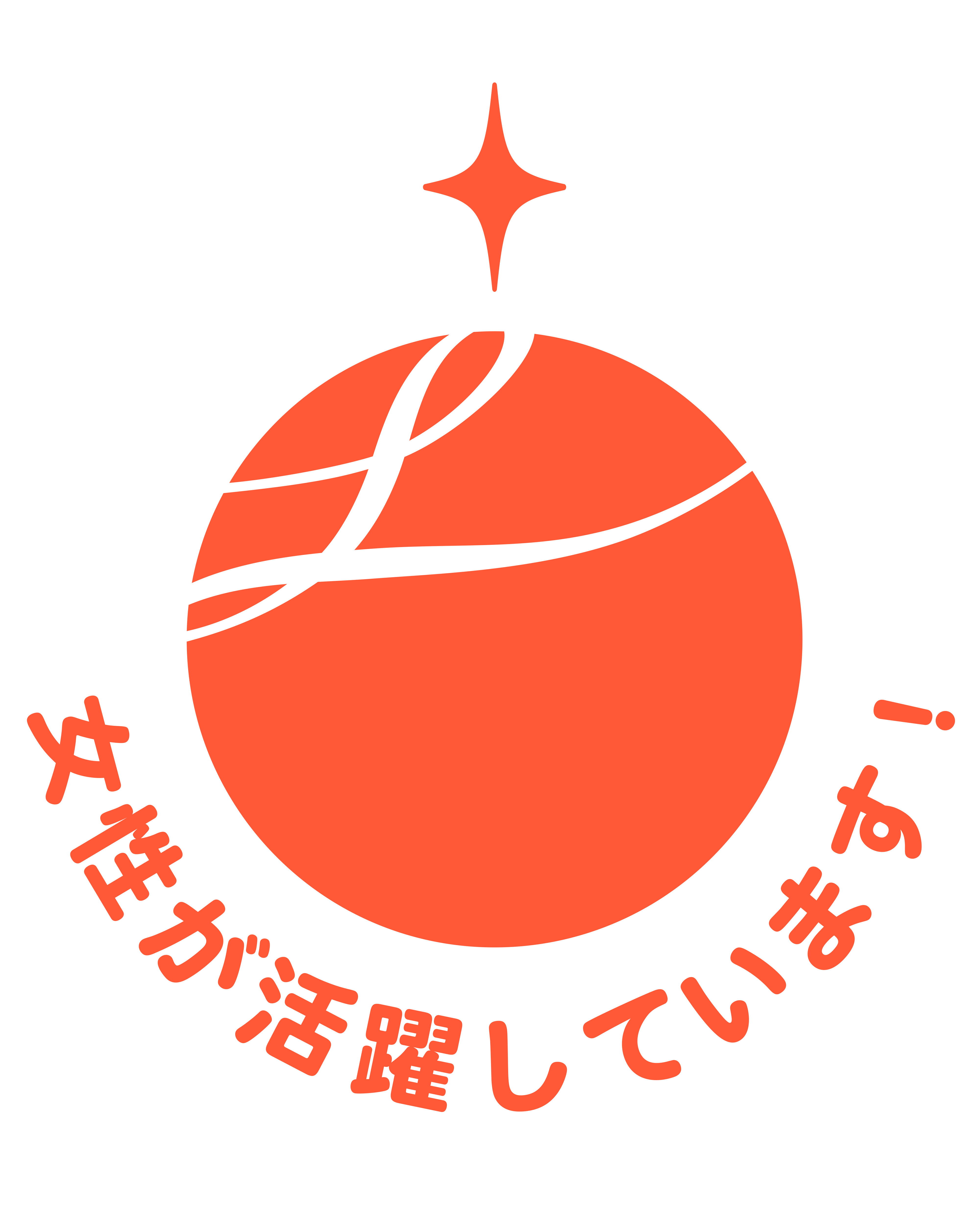 えるぼし1段階目